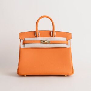 2b1809de550eba66fa6bbd401dedbe69_900x.jpg Birkin 25cm Togo CC93 Orange GHW