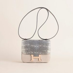 Constance 18CM Lizard skin 1B Ombre RGHW