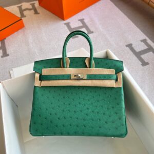 Birkin 25cm Ostrich U4 Vert vertigo PHW