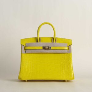Birkin 25cm Matte Alligator Crocodile M9 Mimosa GHW