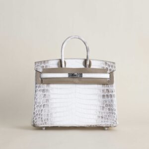 Birkin 25cm Matte Niloticus Crocodile 01 Himalayan PHW