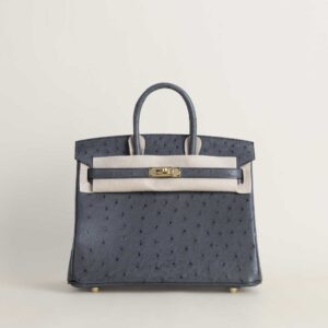 Birkin 25cm Ostrich 88 Graphite GHW