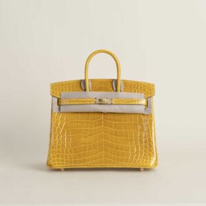 Birkin 25cm Shiny Niloticus crocodile 9D Jaune amber GHW_3 Birkin 25cm Shiny Niloticus crocodile 9D Jaune amber GHW
