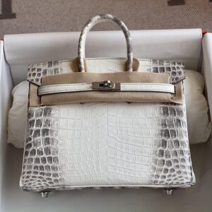 Birkin 25cm Matte Niloticus Crocodile 01 Himalaya PHW